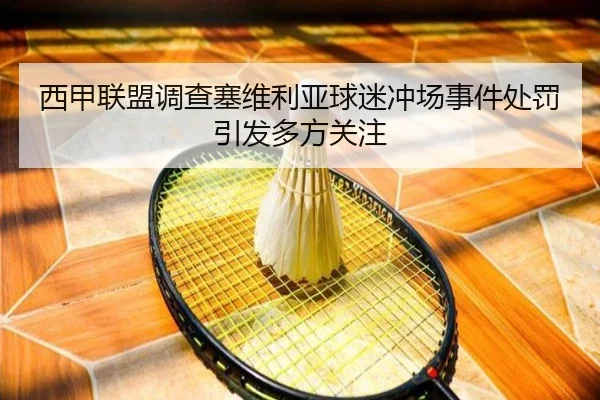 西甲联盟调查塞维利亚球迷冲场事件处罚引发多方关注